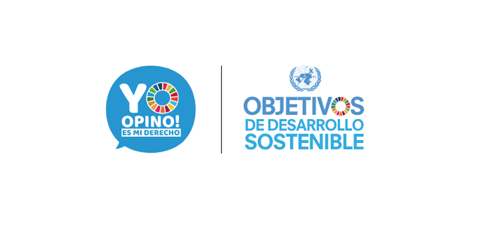 Centros de Estudiantes de colegios de Valdivia son portavoces de Yo Opino 2017