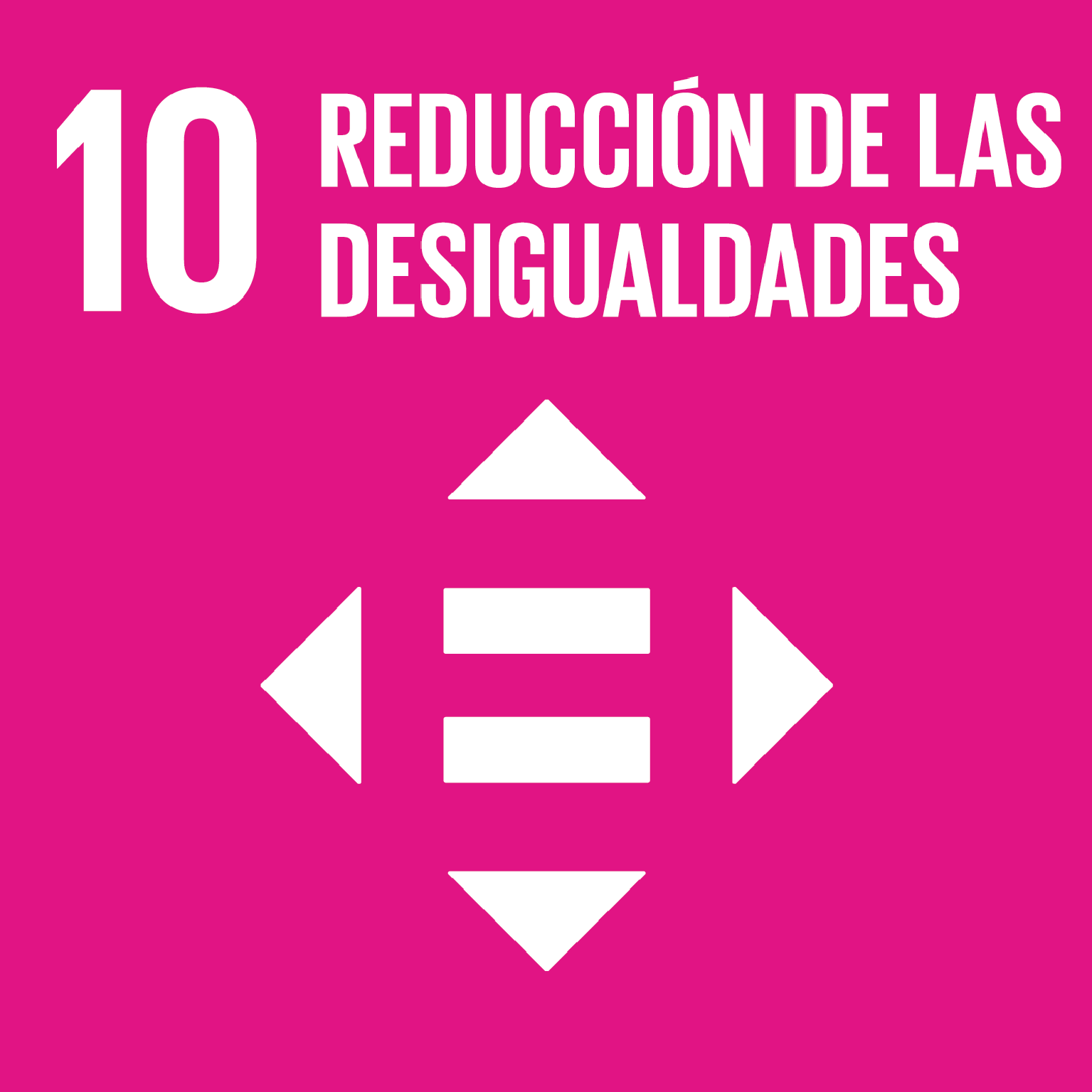 10. Reducción de las Desigualdades 