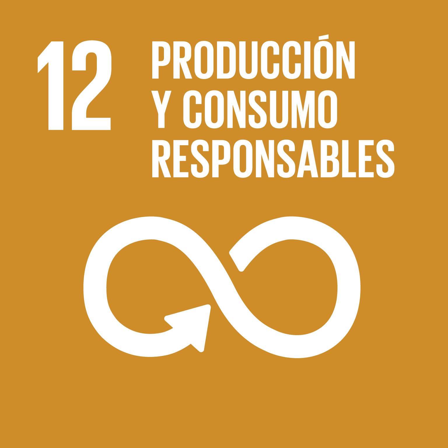 12. Producción y Consumo Responsable 