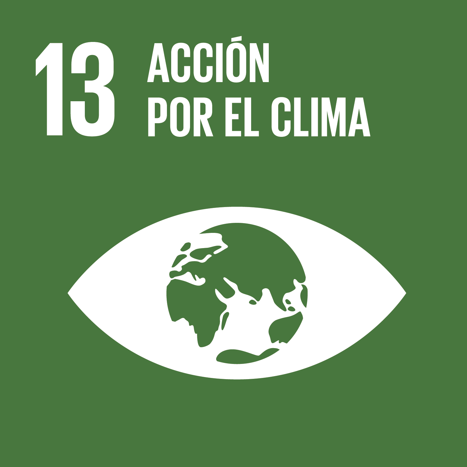 13. Acción por el Clima 