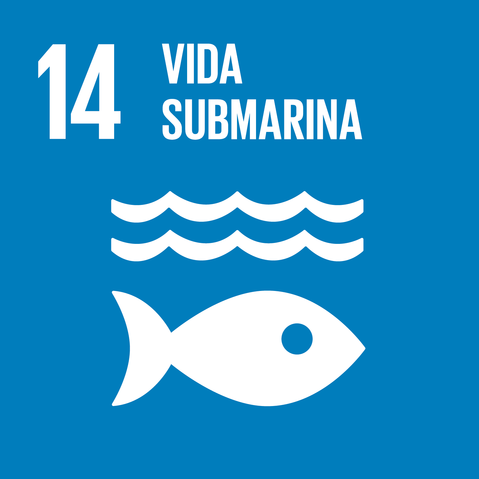 14. Vida Submarina