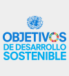 Diagnóstico preliminar ODS en Chile y trabajo de comisiones y grupos de trabajo