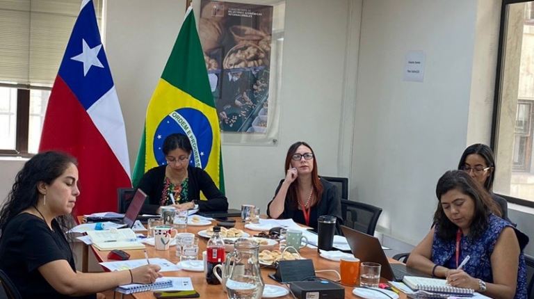 Chile y Brasil celebran la primera reunión del Comité de Medio Ambiente y Comercio
